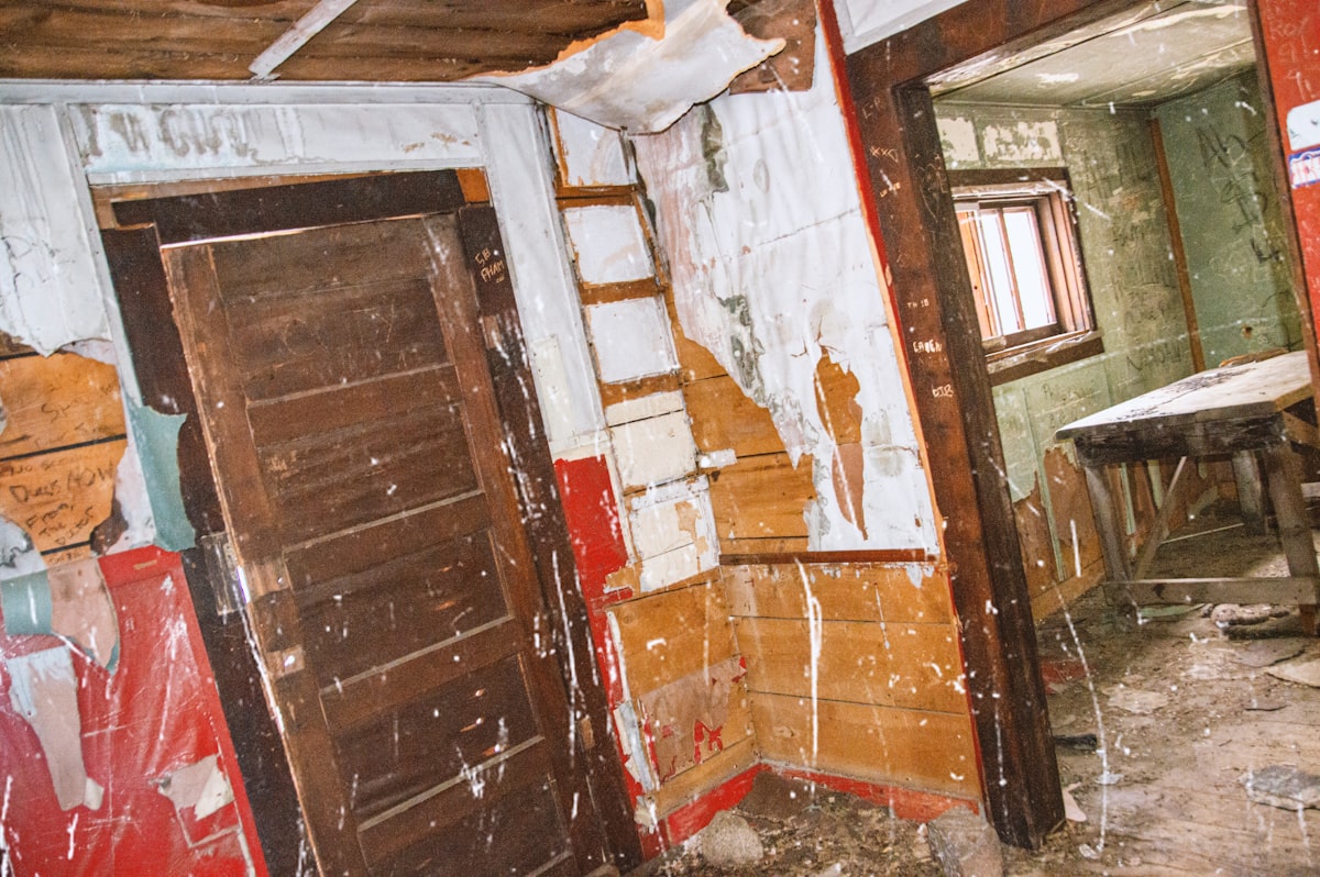 Mold Remediation service in Mandeville, LA