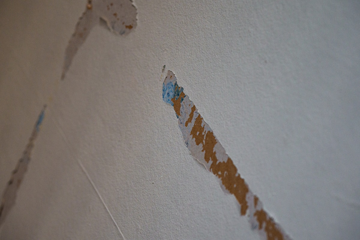 Water Extraction service in Mandeville, LA